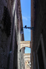 church of st john the baptist