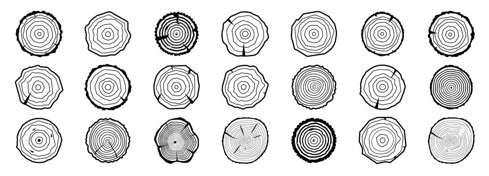 Tree growth rings icon. Eco and bio, natural concept.