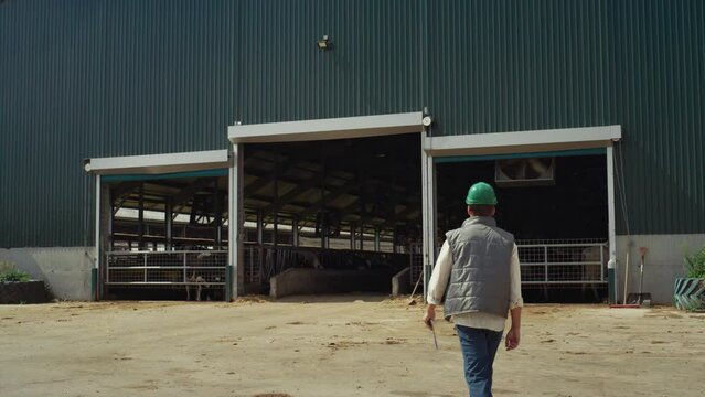 Worker walking livestock farm facility holding clipboard. Milk product industry.