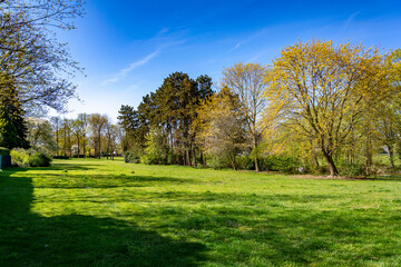 Fototapeta na wymiar Green grass meadow with trees in the background in a sunny spring day