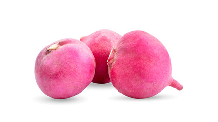 Small garden radish isolated on white background