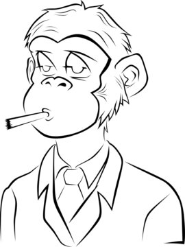 vector image of monkey cartoon style.