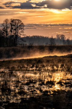 Sunrise over the wetlands. The Lasica Canal, Kampinos National Park, Poland. © Szymon Bartosz