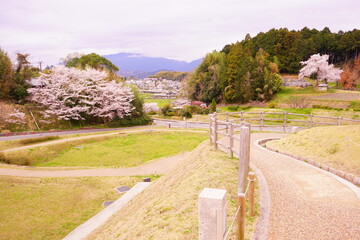 日本 奈良 キトラ古墳 国営飛鳥歴史公園 - Kitora-kofun an old Burial Mound in Nara, Japan	