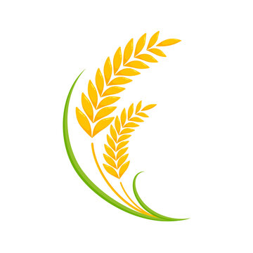 recommend clip art: Ears of wheat. Whole grains for making bread.