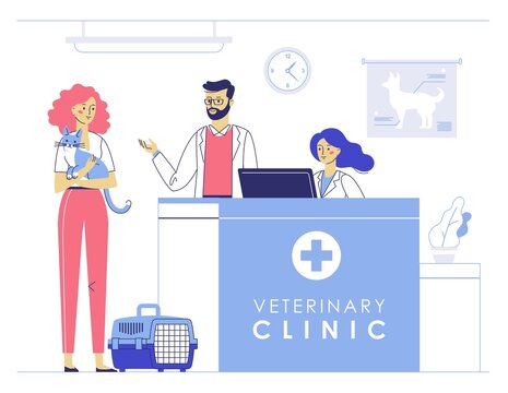 Veterinary concept with animal patient and doctor in reception vet clinic.