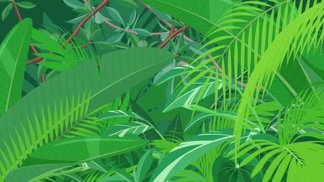 葉っぱが揺れるトロピカルな植物の風景_ジャングルの背景_ループ