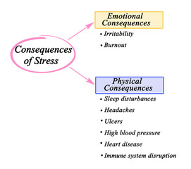  Emotional and phycical Consequences of Stress.