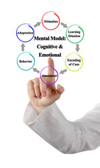 Mental Model: Cognitive & Emotional