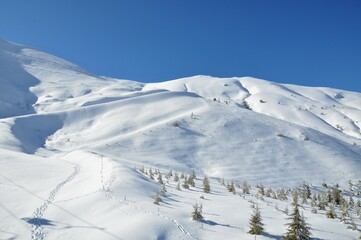 Snow covered mountain with fir trees on mountainside in Bozdağ, Ödemiş, İzmir. 