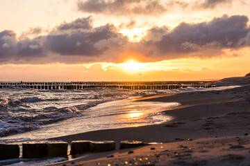 Fototapeta na wymiar Sunrise at the beach of the baltic sea with seagull flying in the sun