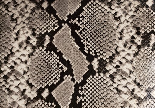 snakeskin leather background, snake skin, texture, animal, reptile