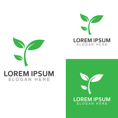 Green leaf logo. Garden, plants and nature vector design. Concept illustration vector template