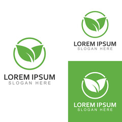 Green leaf logo. Garden, plants and nature vector design. Concept illustration vector template