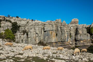The Torcal de Antequera Natural Park contains one of the most impressive examples of karst...
