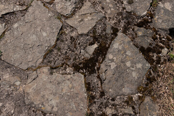 Brick Stone Texture (Castle)