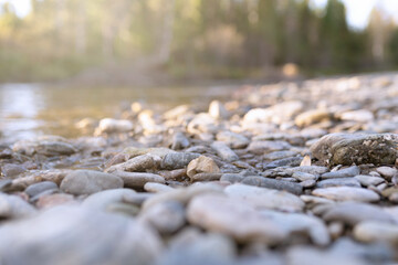 pebbles beach of forest river