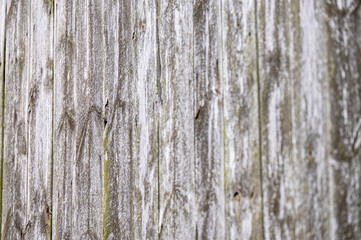 Close up of old boards.