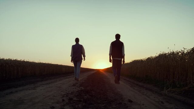 Agronomist silhouettes walking wheat field. Farmers inspecting crop at sunset