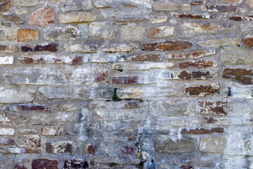 Brick Stone Texture with Grass, Flowers and Dandelion (Castle)
