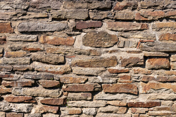 Brick Stone Texture with Grass, Flowers and Dandelion (Castle)