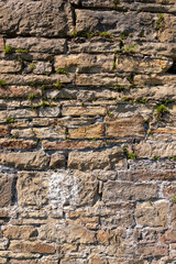 Brick Stone Texture with Grass, Flowers and Dandelion - Castle - background