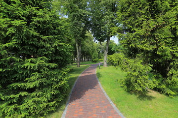 Walking path in the park in summer