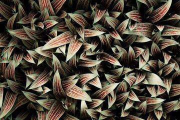 Leaves nature background, summer organic texture