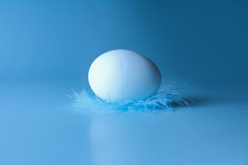 Egg lying on feather on a blue background, side view