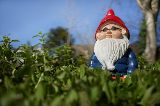 garden gnome with sunglasses and red cap