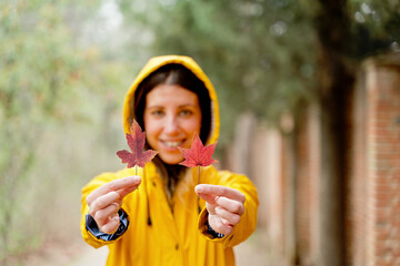Selective focus of front view of unrecognizable woman holding sorted red maple tree leaves. Horizontal cropped view of woman with autumn leaves in yellow raincoat outdoors. Nature and people