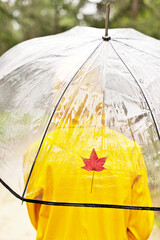 Rear view of unrecognizable woman walking with umbrella in park. Vertical detail of autumn fallen leaf in umbrella and woman wearing a yellow raincoat outdoors. People and seasonal change