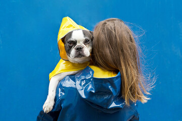 Portrait dog with raincoat on blue background with copy space. Horizontal rear view of unrecognizable woman with bulldog wearing a yellow raincoat. People and animals concept.