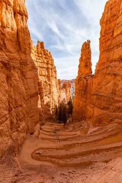 United States, Utah, Bryce Canyon National Park, Switchback trail from valley floor up to Sunset Point in Bryce Canyon National Park