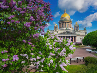 Saint Petersburg summer. Russia cityscape. St. Isaac's Cathedral under blue sky. Saint Petersburg panorama. Lilac on St. Isaac's Square. Saint Petersburg rest. Russia Summer day. Russian Federation