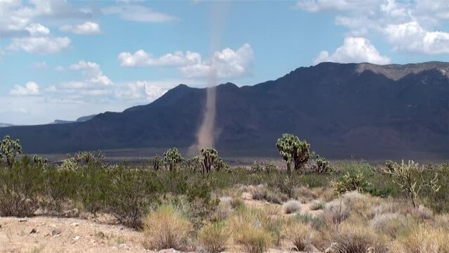 Dust devil (whirlwind) in Arizona.