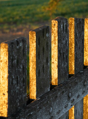 Old wooden fence.