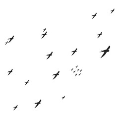 flying swallow icon