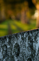 Texture of the detail of a door in the field.