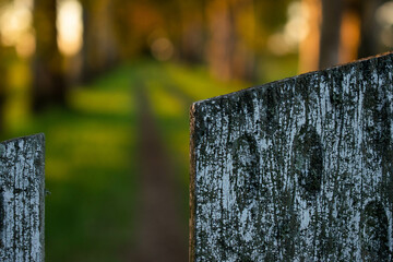 Detail of an old wooden fence.