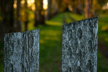 detail of an old wooden fence