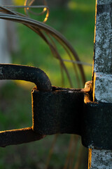 Rustic lock and chain in the field.
