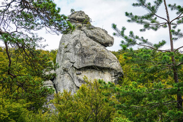 Fototapeta na wymiar The huge rock with the bench (Dovbusha Rocks in Ukraine)