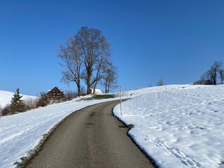 Obraz premium Winter snow idyll along the rural alpine road above the Obertoggenburg valley and on the slopes of the Alpstein mountain range - Nesslau, Switzerland (Schweiz)
