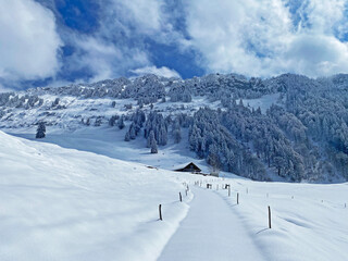 Fototapeta na wymiar Winter snow idyll along the rural alpine road above the Obertoggenburg valley and on the slopes of the Alpstein mountain range - Nesslau, Switzerland (Schweiz)