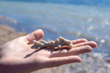 Red sea beach. Young woman hand holding coral white rock fossil. Blurred sea on the background. Climate change, sea rising temperatures, pollution. Environmenatl issues. Dry, dead coral structure. 