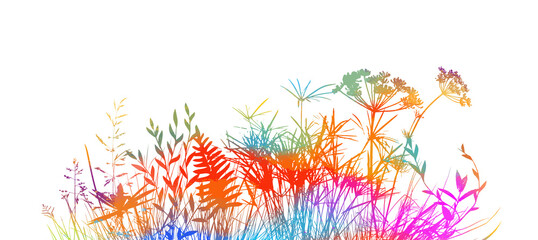 Fototapeta na wymiar Spring time colorful silhouettes of grass and flowers. Abstract floral vector background