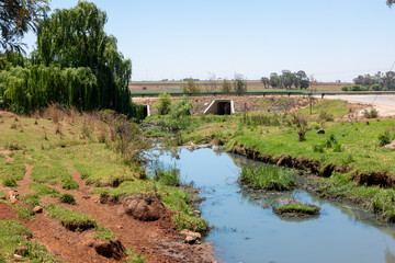 Farm in South Africa