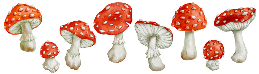 Set of watercolor fly agaric mushrooms. - obrazy, fototapety, plakaty