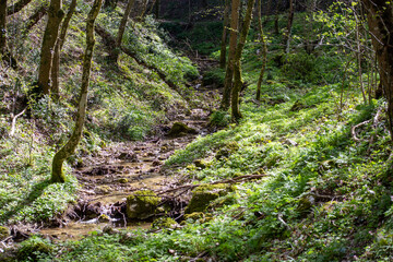 paesaggio di montagna con fiume